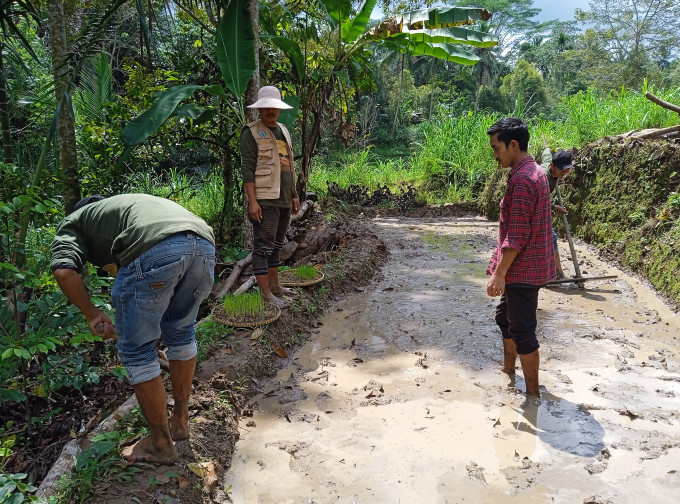 PELATIHAN PENANAMAN PADI SRI (SISTEM OF RICE INSENTIFICATION)