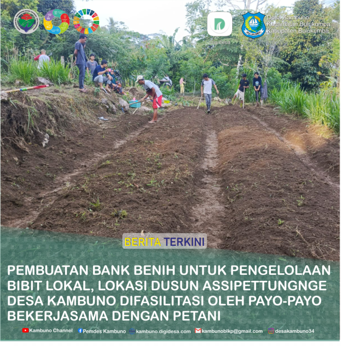 Pembuatan bank benih untuk melestarikan bibit lokal di desa Kambuno